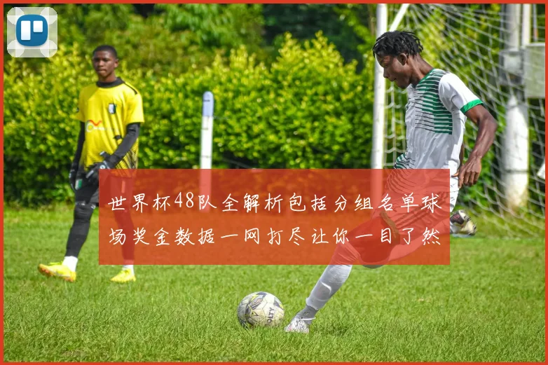 世界杯48队全解析包括分组名单球场奖金数据一网打尽让你一目了然